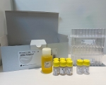 總甲狀腺素放射免疫分析試劑