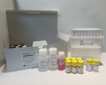甲型胎兒蛋白放射免疫分析試劑