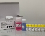 硫酸-脫氫表雄脂酮放射免疫分析試劑